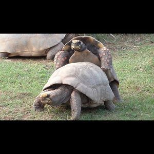 Meet your Posher, Bradley